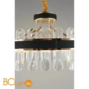 Подвесной светильник Aployt Honori APL.027.03.102 - Фото 5