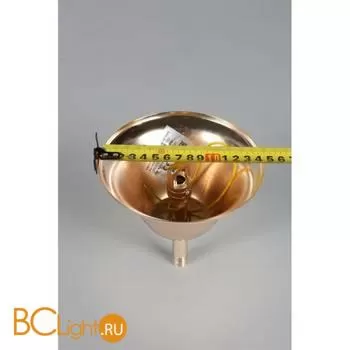 Подвесной светильник Aployt Honori APL.027.03.102 - Фото 12