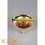 Подвесной светильник Aployt Honori APL.027.03.102 - Фото 12