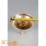 Подвесной светильник Aployt Honori APL.027.03.158 - Фото 12