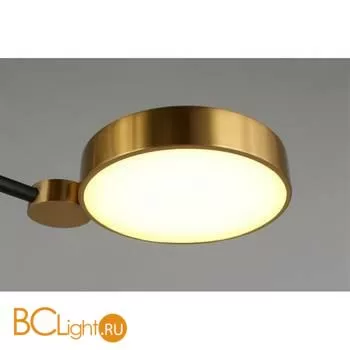 Потолочный светильник Aployt Ines APL.043.07.50 - Фото 3