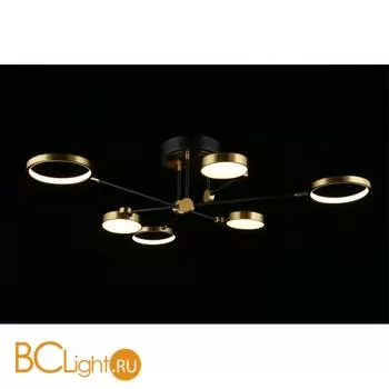 Потолочный светильник Aployt Ines APL.043.07.50 - Фото 5