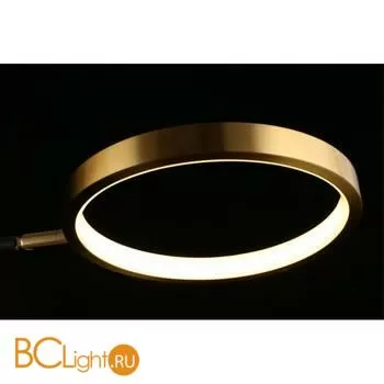 Потолочный светильник Aployt Ines APL.043.07.50 - Фото 9