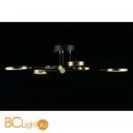 Потолочный светильник Aployt Ines APL.043.07.50 - Фото 6