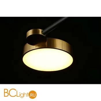 Потолочный светильник Aployt Ines APL.043.07.65 - Фото 9