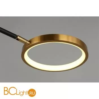 Потолочный светильник Aployt Ines APL.043.07.65 - Фото 4