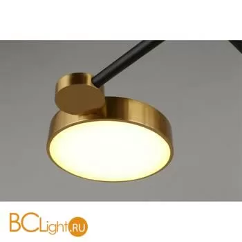 Потолочный светильник Aployt Ines APL.043.07.65 - Фото 3