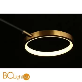 Потолочный светильник Aployt Ines APL.043.07.65 - Фото 8