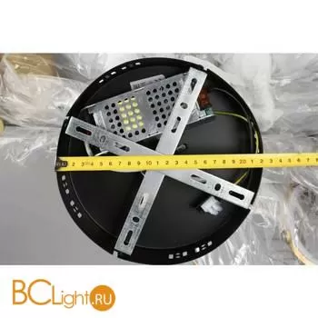 Потолочный светильник Aployt Ines APL.043.07.65 - Фото 10