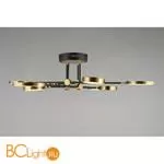 Потолочный светильник Aployt Ines APL.043.07.65 - Фото 2