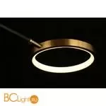 Потолочный светильник Aployt Ines APL.043.07.65 - Фото 8