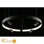 Люстра Aployt Jolanta APL.041.13.50 - Фото 8