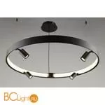 Люстра Aployt Jolanta APL.041.13.50 - Фото 3