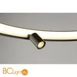 Люстра Aployt Jolanta APL.041.13.50 - Фото 4