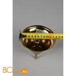 Подвесной светильник Aployt Karola APL.841.13.04 - Фото 10