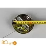 Подвесной светильник Aployt Kinia APL.708.06.01 - Фото 5