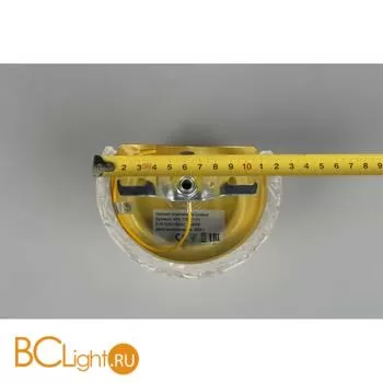 Бра Aployt Koletta APL.755.11.01 - Фото 12