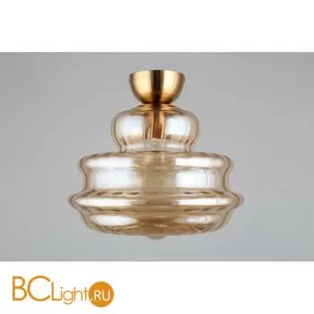 Потолочный светильник Aployt Liana APL.303.17.01 - Фото 3