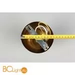 Потолочный светильник Aployt Liana APL.303.17.01 - Фото 8