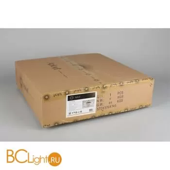 Люстра Aployt Lidi APL.757.17.08 - Фото 11