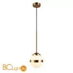 Подвесной светильник Aployt Lulu APL.820.06.01 - Фото 0