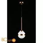 Подвесной светильник Aployt Lulu APL.820.06.01 - Фото 5