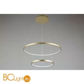 Подвесной светильник Aployt Lunet APL.014.03.60 - Фото 2