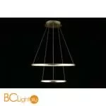 Подвесной светильник Aployt Lunet APL.014.03.60 - Фото 7