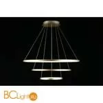 Подвесной светильник Aployt Lunet APL.014.03.100 - Фото 6