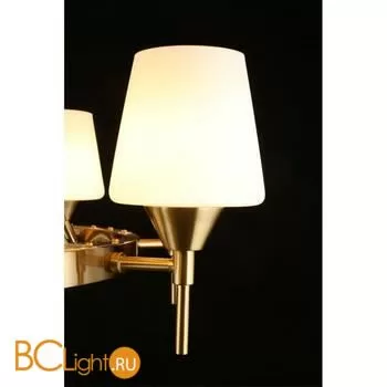 Люстра Aployt Lyus APL.840.03.08 - Фото 10