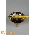 Люстра Aployt Lyus APL.840.03.08 - Фото 12