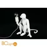 Настольный светильник Aployt Magali APL.309.14.01 - Фото 7