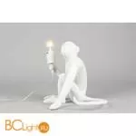 Настольный светильник Aployt Magali APL.309.14.01 - Фото 4