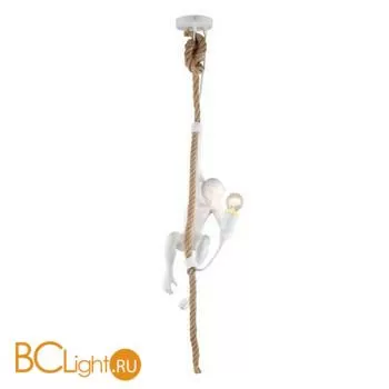 Подвесной светильник Aployt Magali APL.309.06.01