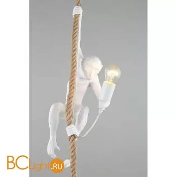 Подвесной светильник Aployt Magali APL.309.06.01 - Фото 2