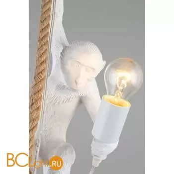 Подвесной светильник Aployt Magali APL.309.06.01 - Фото 5