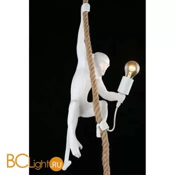 Подвесной светильник Aployt Magali APL.309.06.01 - Фото 8