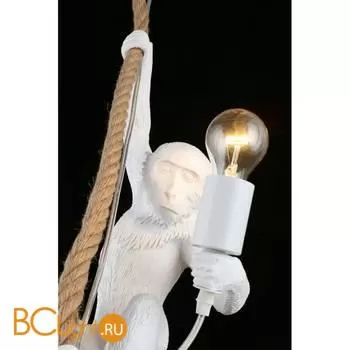 Подвесной светильник Aployt Magali APL.309.06.01 - Фото 10