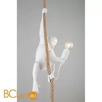 Подвесной светильник Aployt Magali APL.309.06.01 - Фото 3