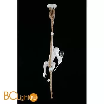 Подвесной светильник Aployt Magali APL.309.06.01 - Фото 7