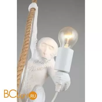 Подвесной светильник Aployt Magali APL.309.06.01 - Фото 4