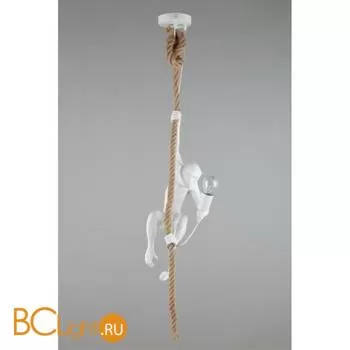 Подвесной светильник Aployt Magali APL.309.06.01 - Фото 1