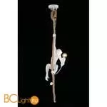 Подвесной светильник Aployt Magali APL.309.06.01 - Фото 6