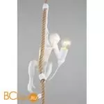 Подвесной светильник Aployt Magali APL.309.06.01 - Фото 2