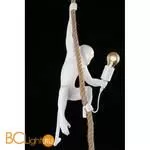 Подвесной светильник Aployt Magali APL.309.06.01 - Фото 8