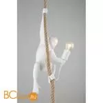 Подвесной светильник Aployt Magali APL.309.06.01 - Фото 3