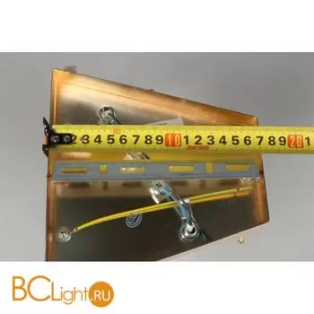 Настенный светильник Aployt Maria APL.831.01.02 - Фото 13