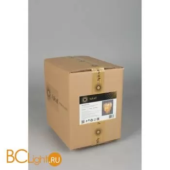 Настенный светильник Aployt Maria APL.831.01.02 - Фото 14