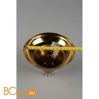 Подвесной светильник Aployt Mariz APL.813.13.15 - Фото 10