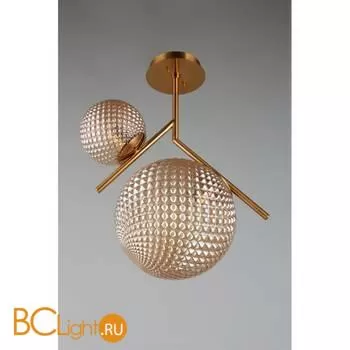 Люстра Aployt Marzena APL.300.17.02 - Фото 2